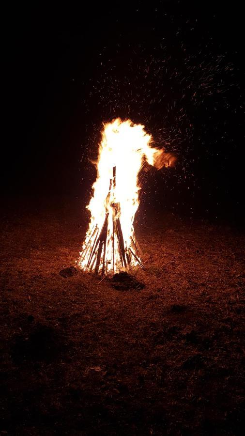 Pensiunea din Livada Bran  Bagian luar foto