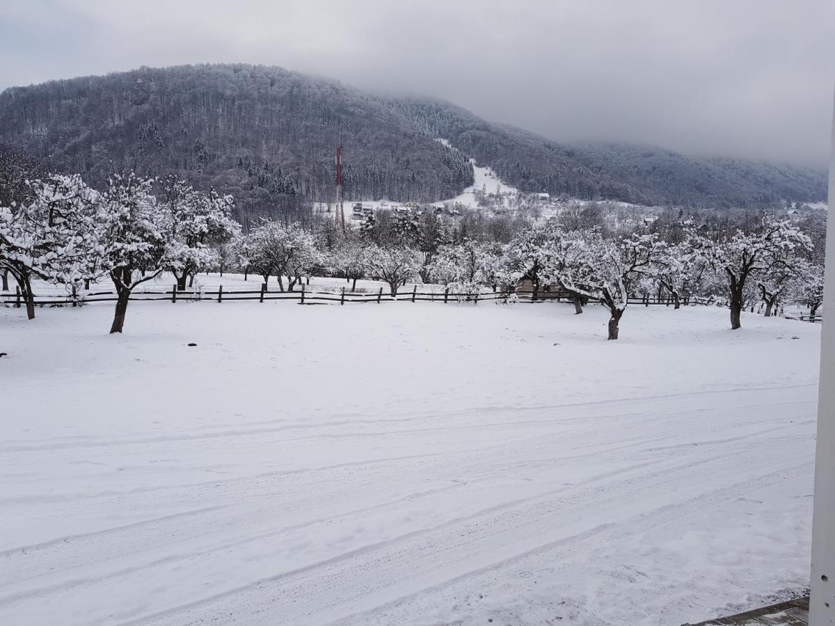 Pensiunea din Livada Bran  Bagian luar foto